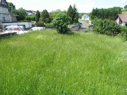 Single wohnung daun